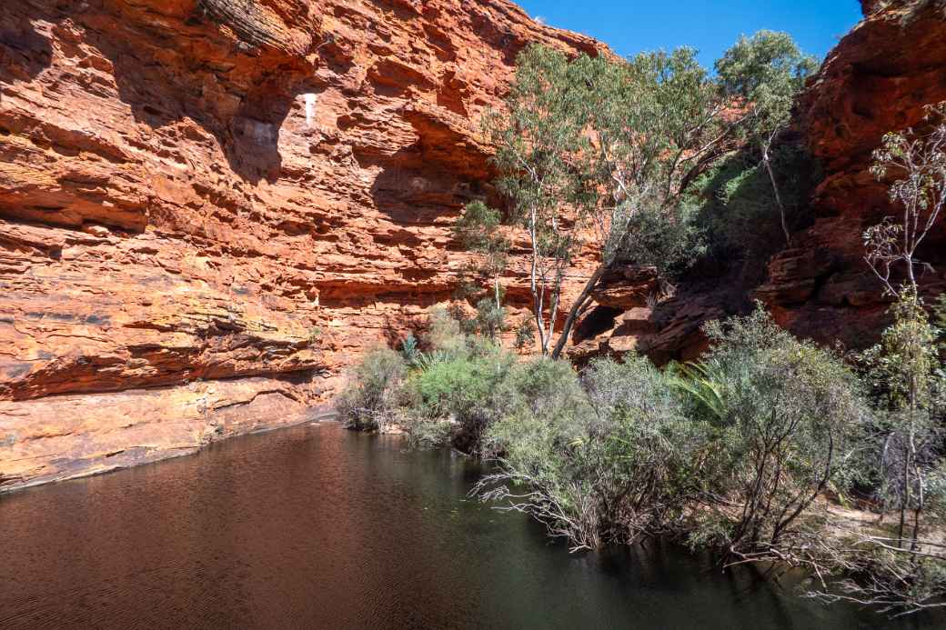 Waterhole, Garden of Eden