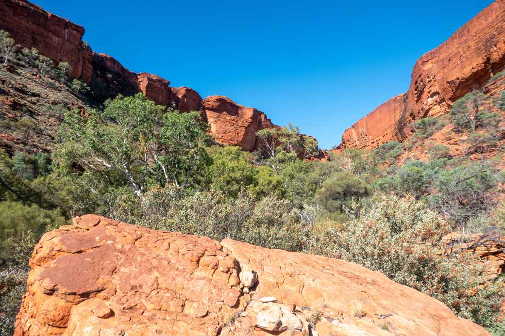 View from the bottom of Kings Canyon