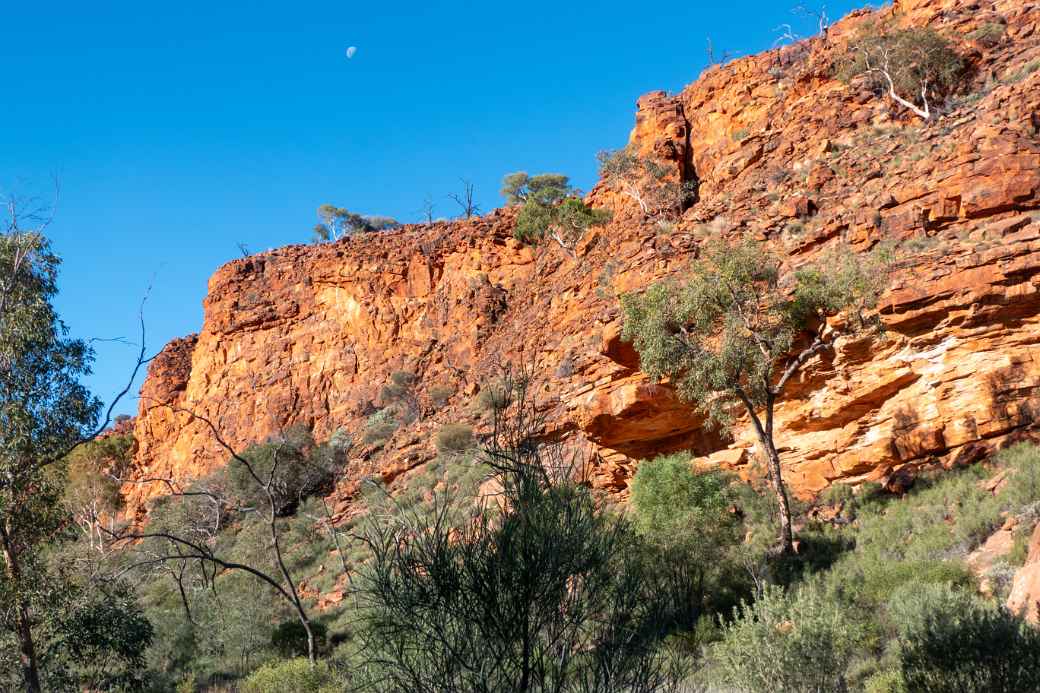 Cliffs, Kathleen Springs