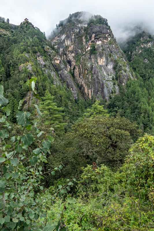 View of Paro Taktsang, Taktsang Cafetaria