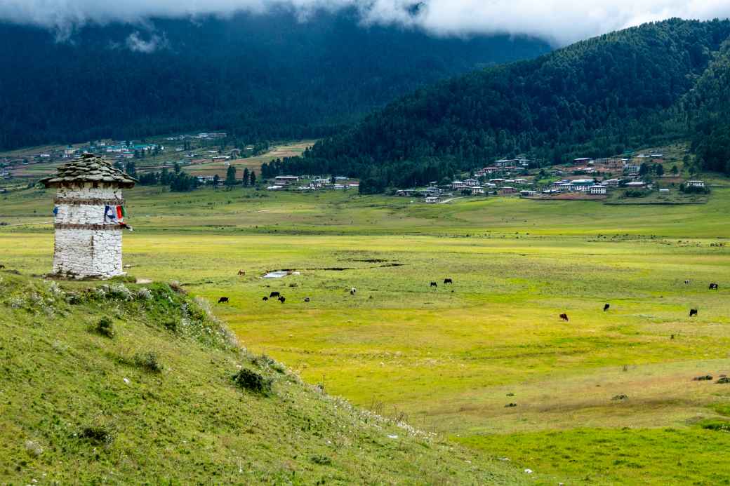 View from Phobjikha View Point Chorten