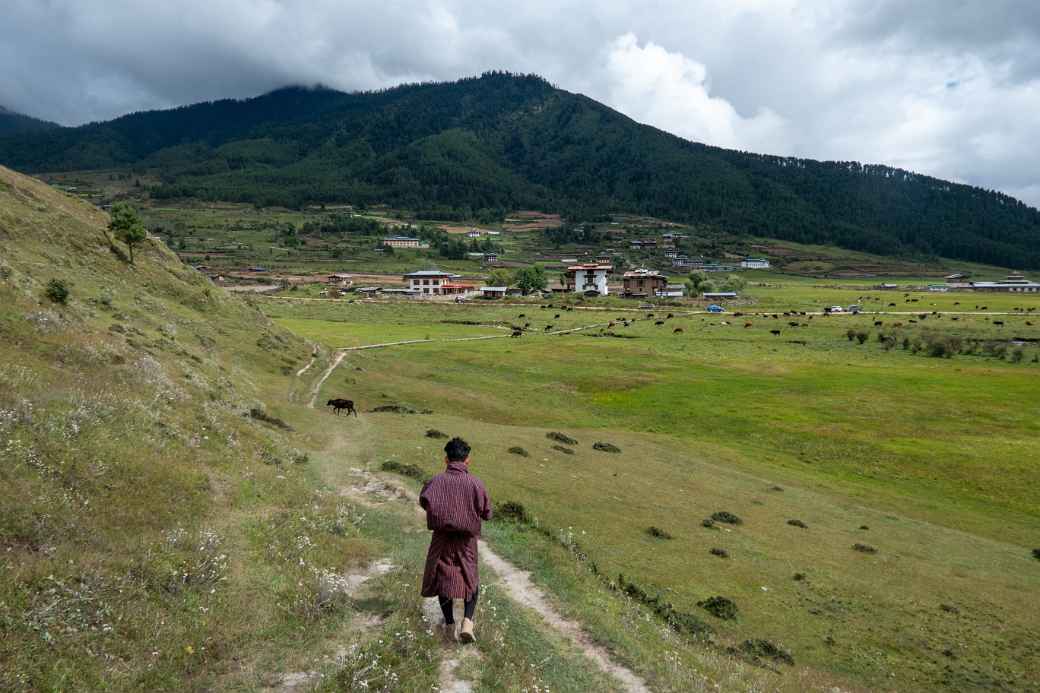 Gangtey Nature Trail in Phobjikha Valley