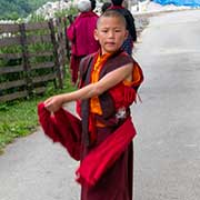 Young novice monk