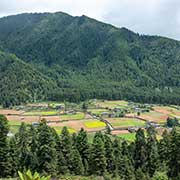 Phobjikha Valley