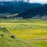 View from Phobjikha View Point Chorten