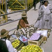 Selling limes