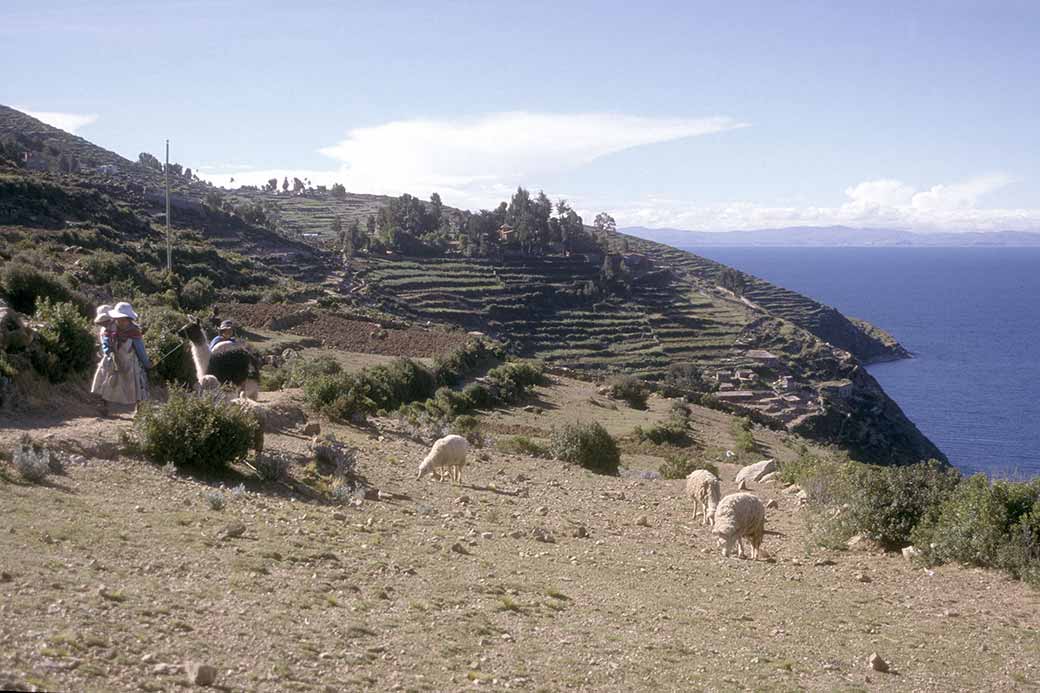 Foot path, Isla del Sol