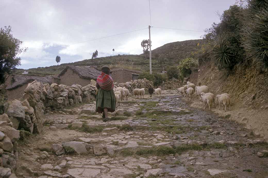 The road near Challa