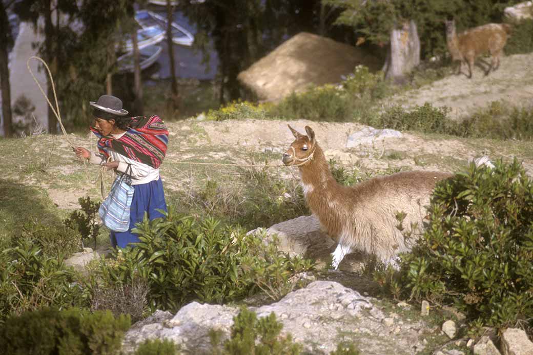 Woman with llama