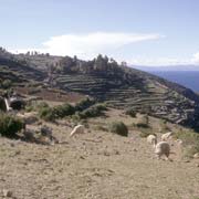 Foot path, Isla del Sol