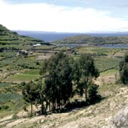 Farms near Challapampa