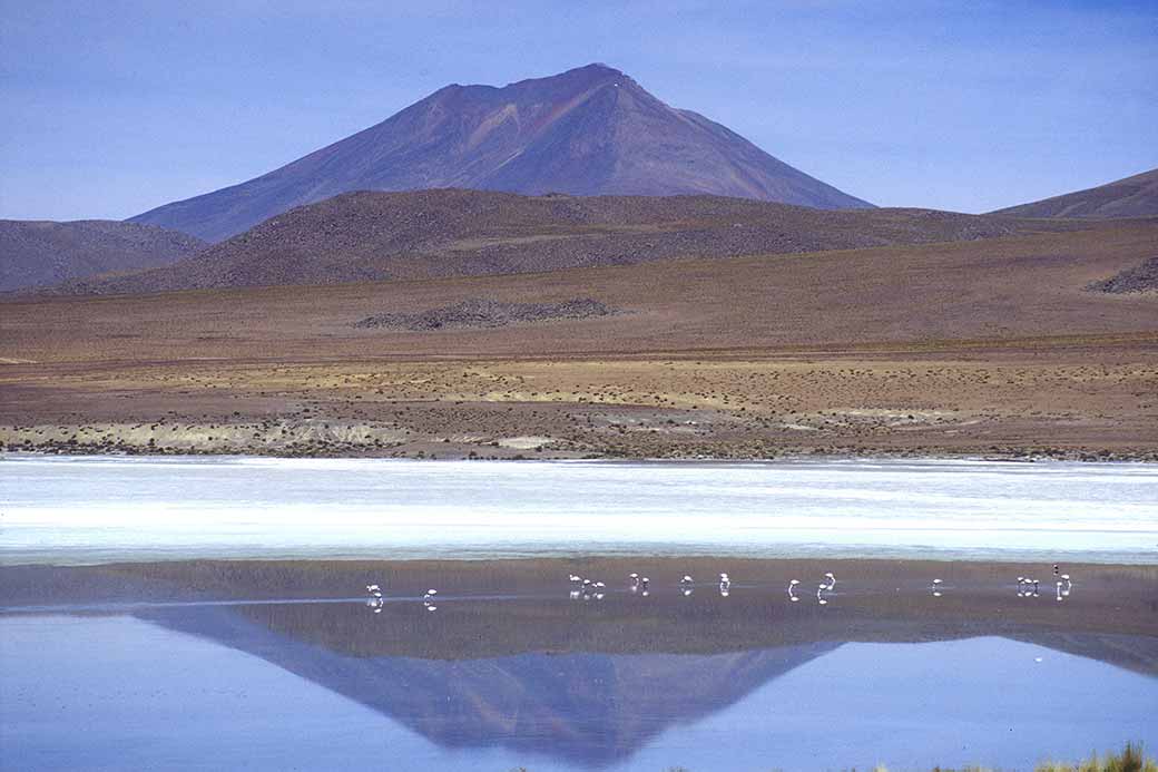 Laguna Cañape reflections