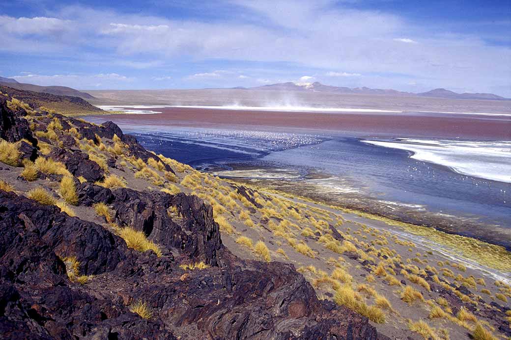 View, Laguna Colorada