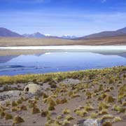 Laguna Cañape