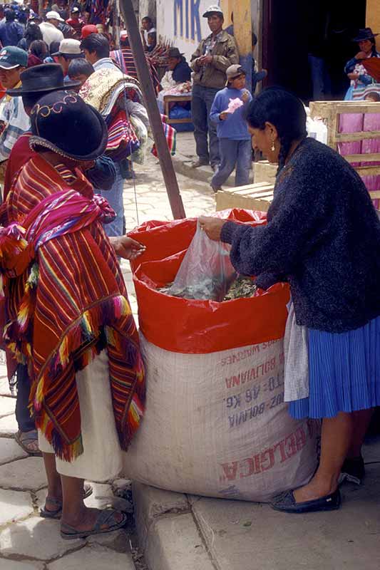 Buying coca leaves