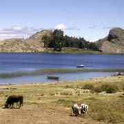 Lago Titicaca near Titicachi