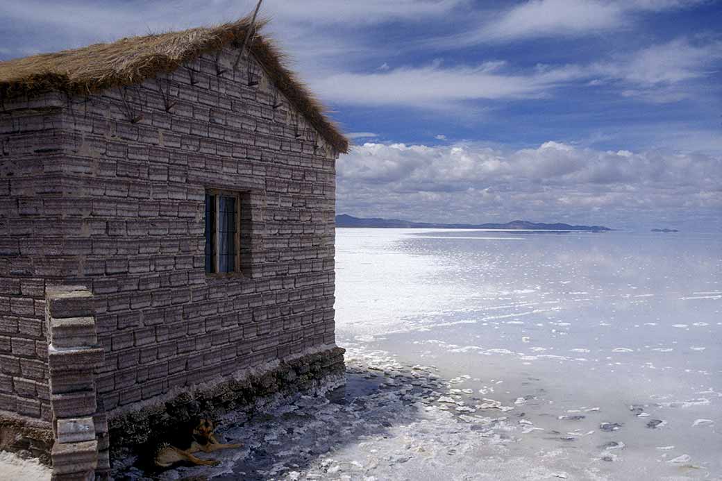 Shop from salt blocks