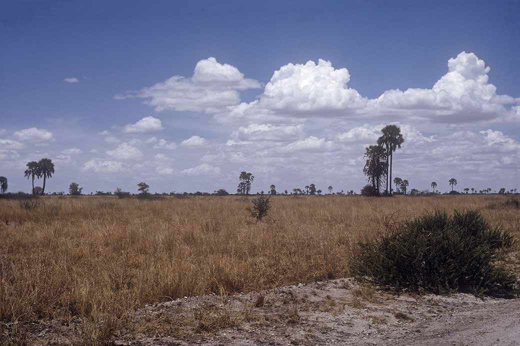 Landscape near Nata