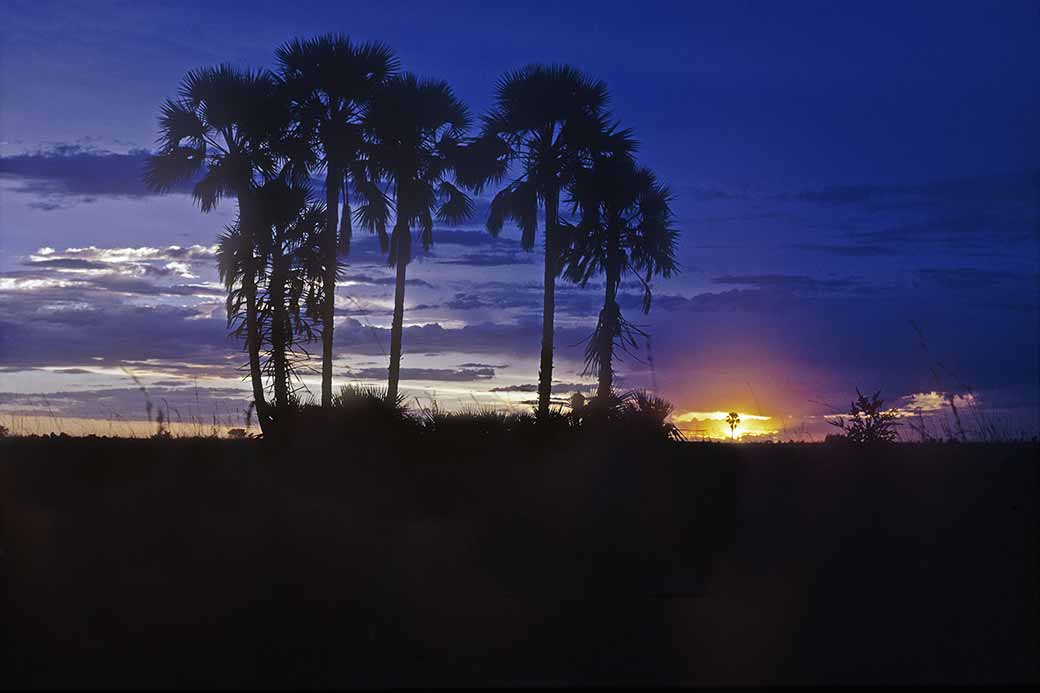 Sunset between Maun and Nata