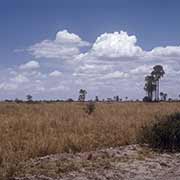 Landscape near Nata