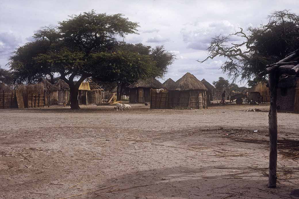 Tswana huts, Maun