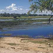 Kavango, Maun