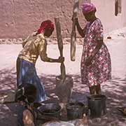 Women preparing grain, Mochudi