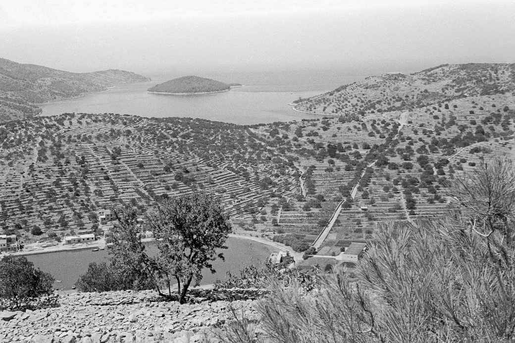 View, Vela Luka to Ošjak