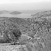 View, Vela Luka to Ošjak