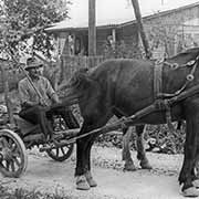 Horse and cart, Samobor