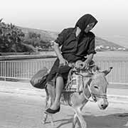 Woman on a donkey