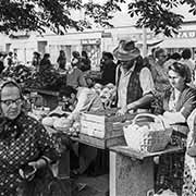 Vegetable market