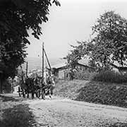 Road into Samobor