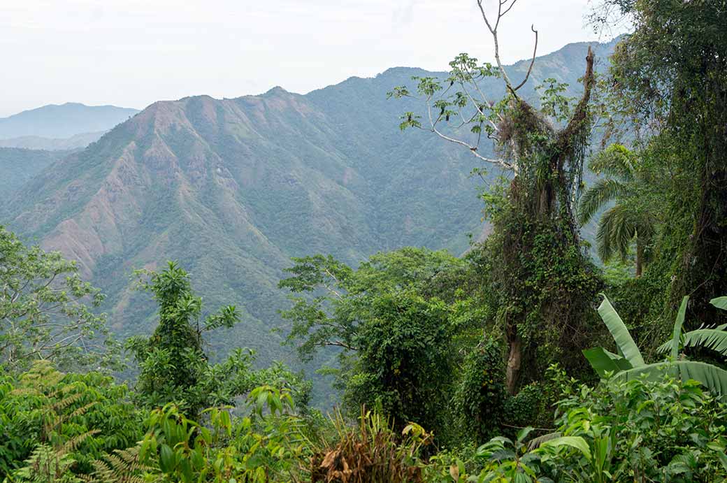 Sierra Maestra