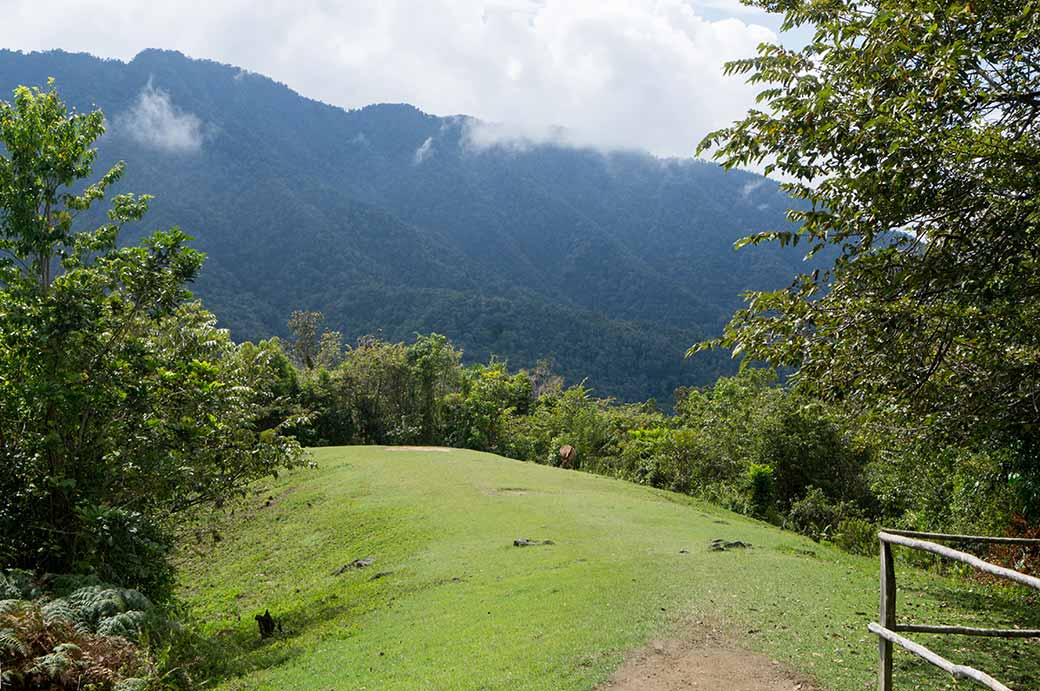 View near Comandancia La Plata