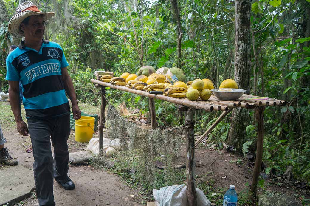 Fruit for sale, Alto de Naranjo