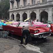 Washing the 1959 Thunderbird