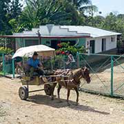 Horse and cart, Carretera Central