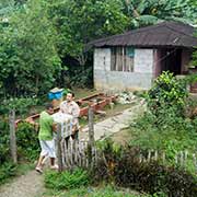 House along the road