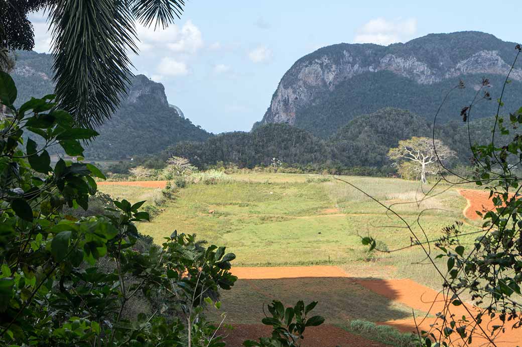 View from Cueva de Vaca, Viñales