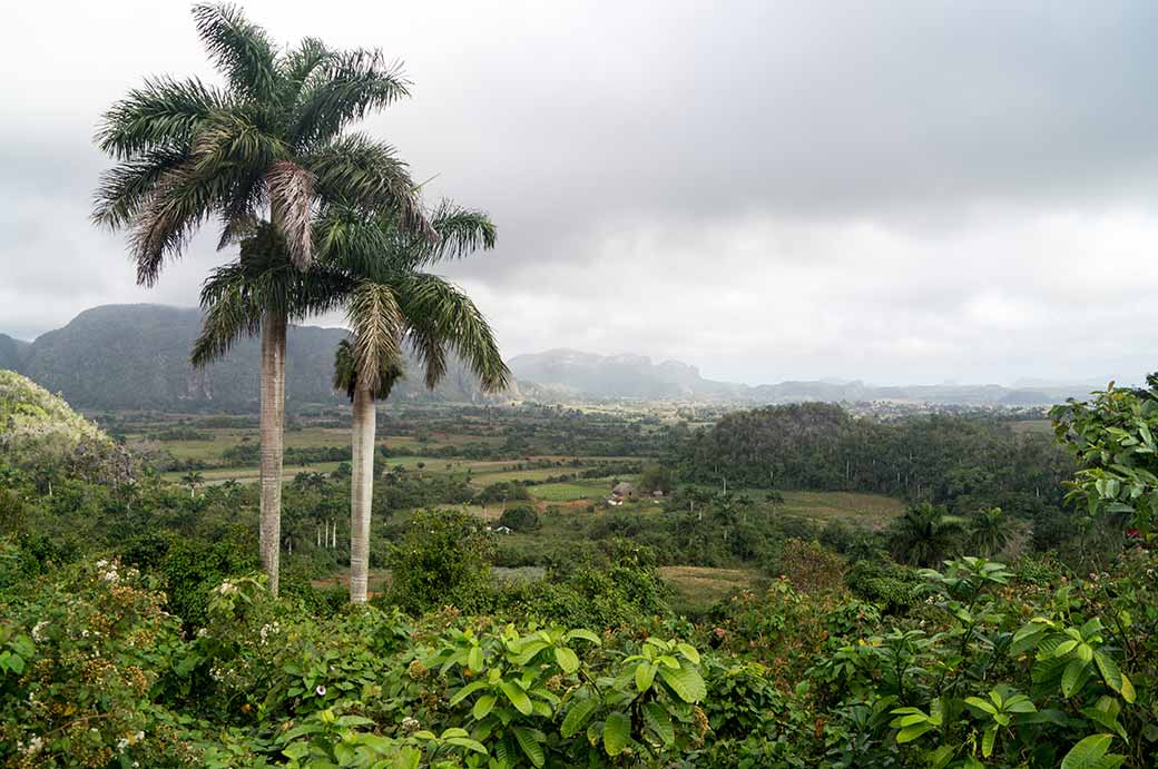 View in Valle de Viñales