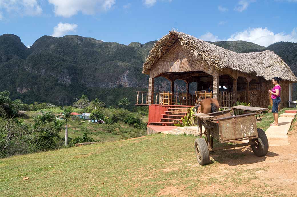 Small bar, Parque Nacional Viñales