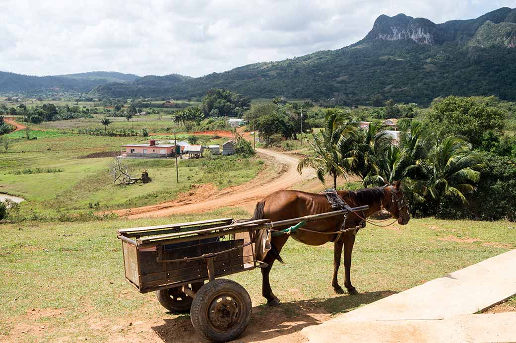 View, Parque Nacional Viñales