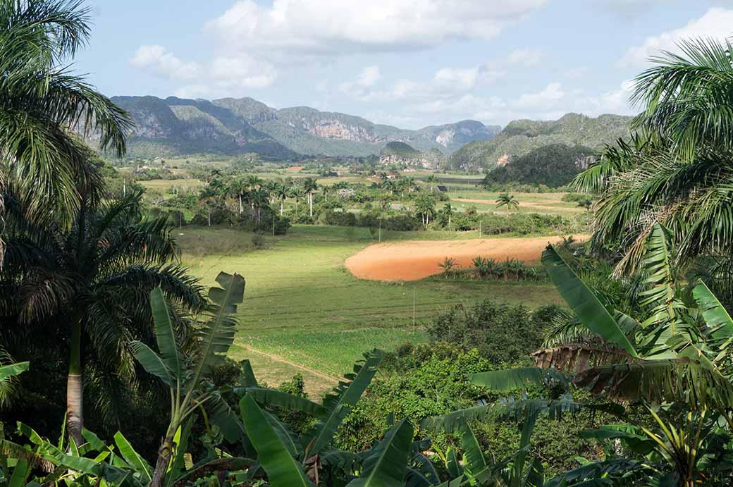 Viñales valley from Raices viewpoint