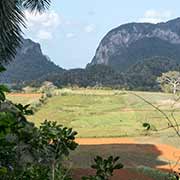 View from Cueva de Vaca, Viñales