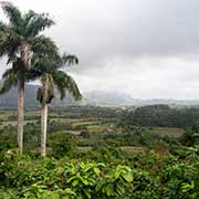 View in Valle de Viñales