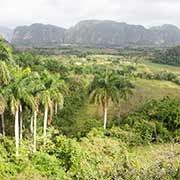 View in Valle de Viñales