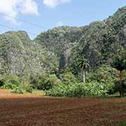 Parque Nacional Viñales