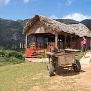 Small bar, Parque Nacional Viñales