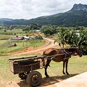 View, Parque Nacional Viñales